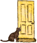 cat n door