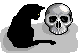 cat n skull