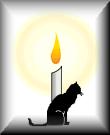 cat vigil