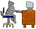 cat on computer