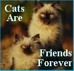 Join the Cats Are Friends Forever Webring!
