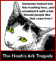 noahs ark kitty