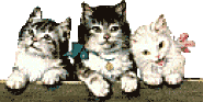three kittys