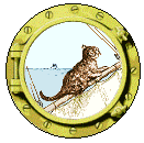 cat on ship