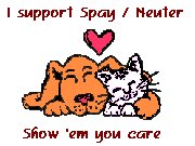 spay pets