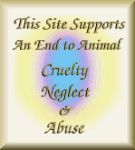 end to abuse